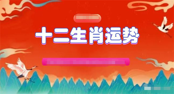 澳门码鞋一肖一码，精细分析解释落实_投资版31.34.31