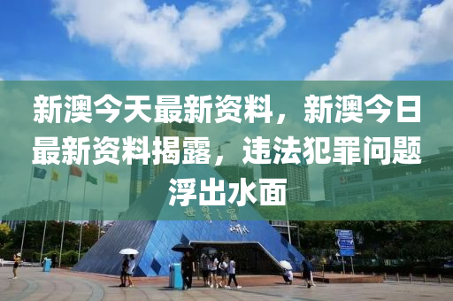 新澳最新版资料心水，实地调研解释落实_标配版11.74.31